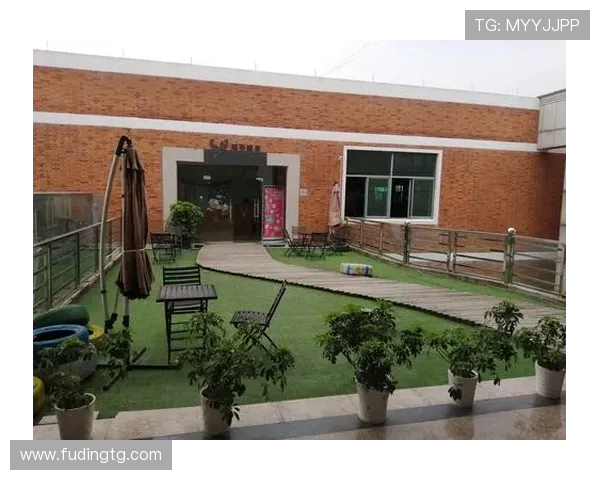 健身新趋势：打造高效训练计划提升力量与耐力的全面指南