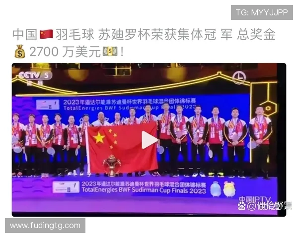 北京羽毛球队在杯赛中的经验与表现分析探讨 北京羽毛球队在杯赛中的经验与表现分析探讨