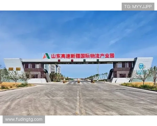 山东高速建设提速助力经济发展 交通网络升级推动区域一体化进程