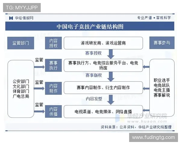 电子竞技的崛起与发展探索：从电竞产业到文化现象的多维度分析